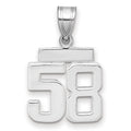 14kw Small Polished Number 58 Charm