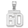 14kw Small Polished Number 60 Charm