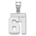 14kw Small Polished Number 61 Charm