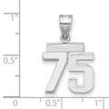 14kw Small Polished Number 75 Charm