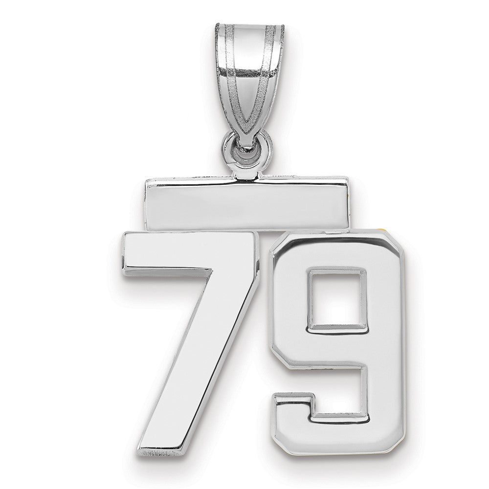 14kw Small Polished Number 79 Charm