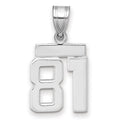 14kw Small Polished Number 81 Charm