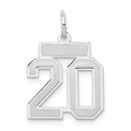 14kw Small Satin Number 20 Charm