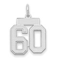 14kw Small Satin Number 60 Charm