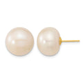 14k 13-14mm White Button Freshwater Cultured Pearl Post Earrings