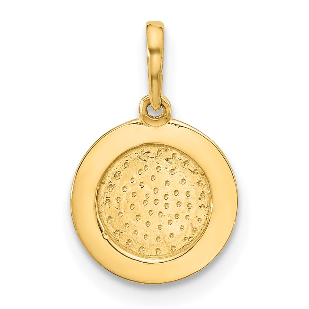 14K Polished Round with Rope Border Charm