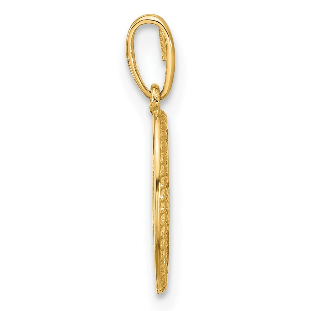 14K Polished Oval with Rope Border Charm