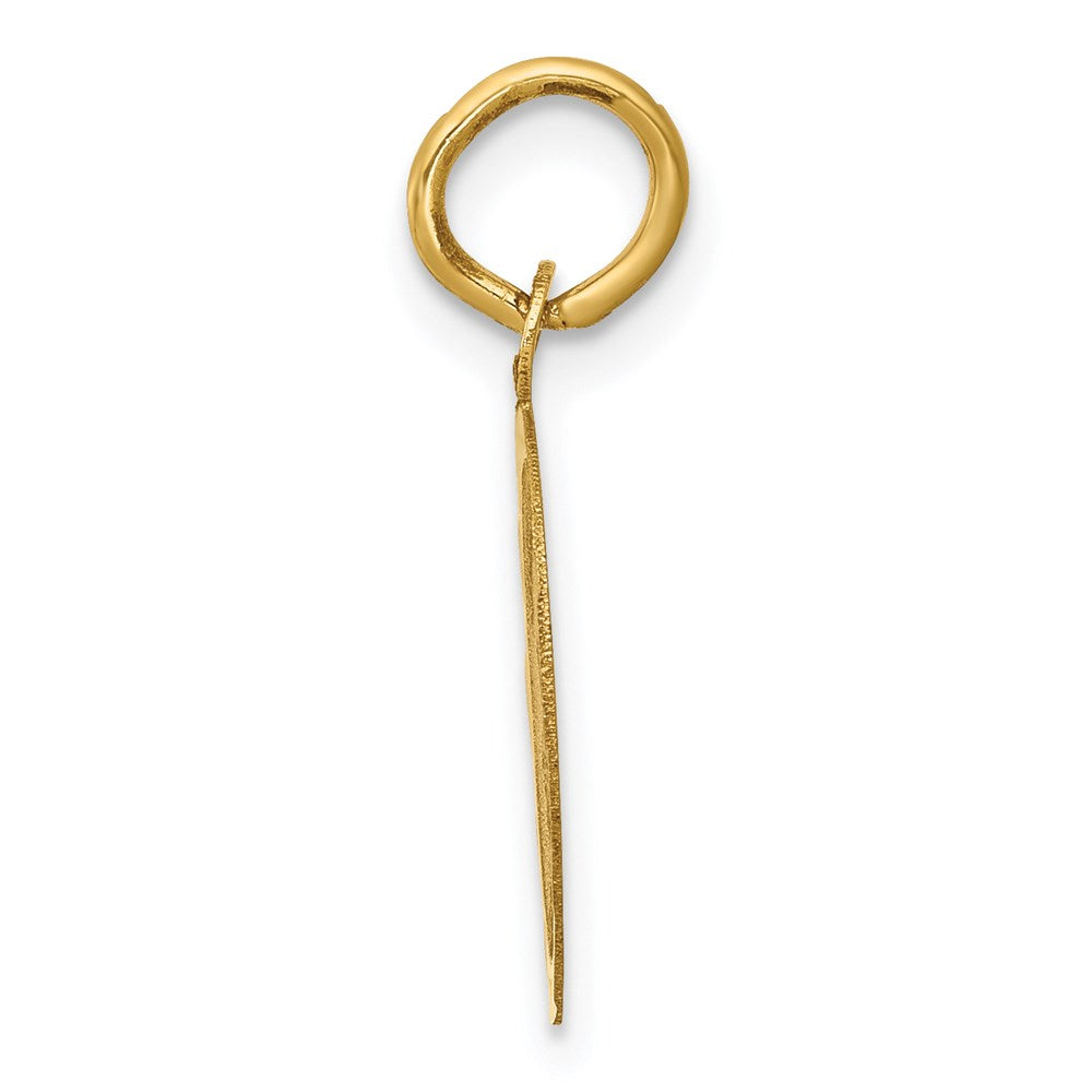 14k GRADUATION DAY Charm