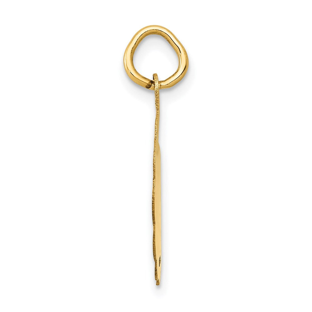 14k Polished IT’S A GIRL Scalloped Disc Charm