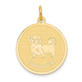 14k Shih Tzu Disc Charm