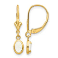 14k 6x4 Oval Bezel October/Opal Leverback Earrings