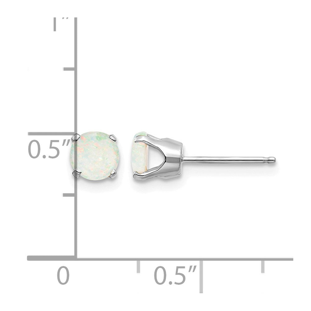 14k White Gold 5mm Opal Stud Earrings