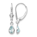 14k White Gold 6x4mm Aquamarine/March Earrings