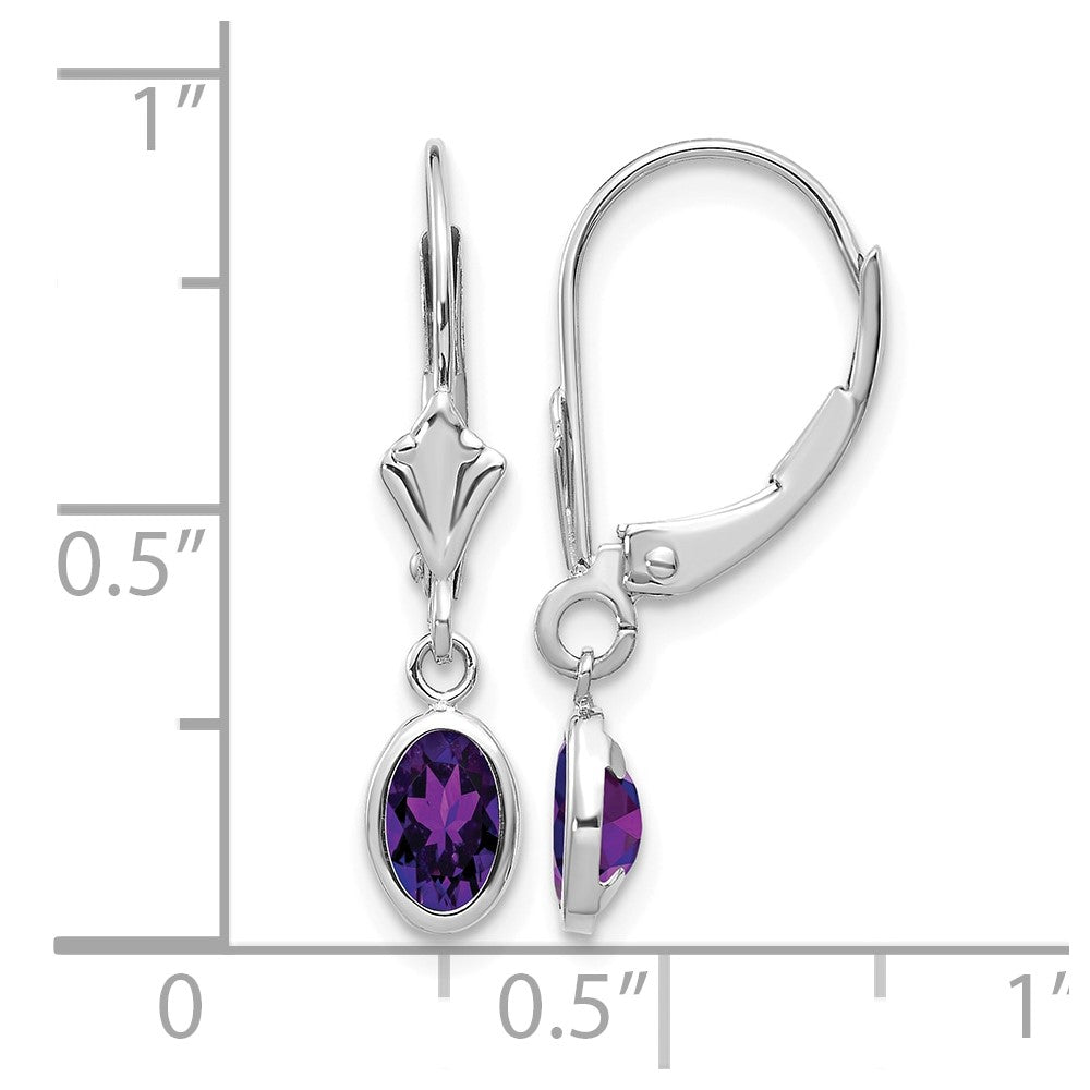14k White Gold 6x4mm Oval Amethyst/February Earrings