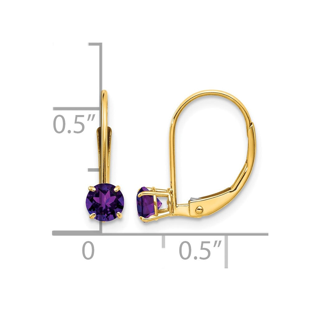 14k Amethyst Earrings - February