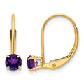 14k Amethyst Earrings - February