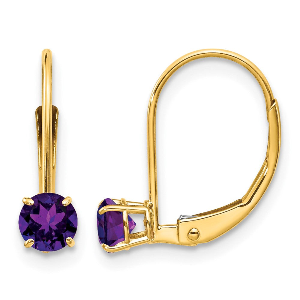 14k Amethyst Earrings - February