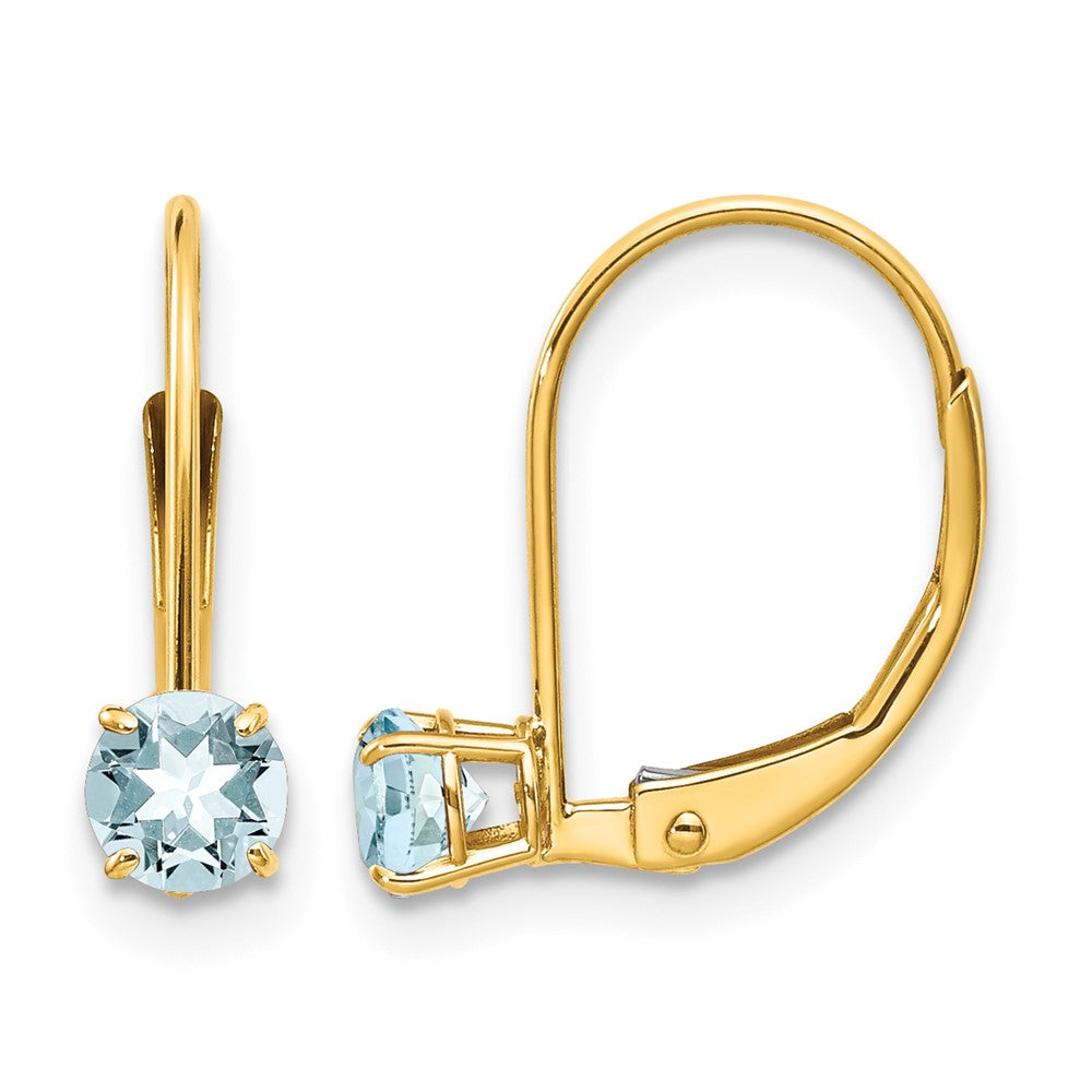 14k Aquamarine Earrings - March