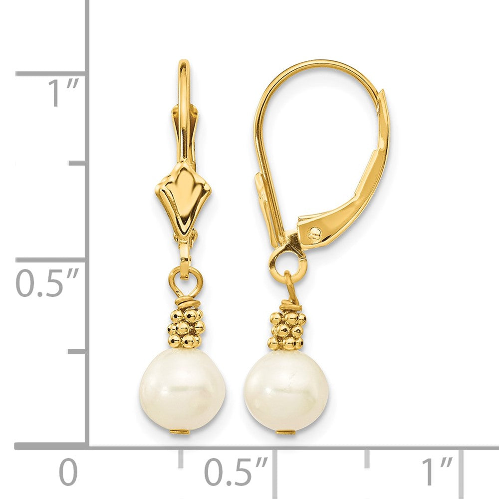 14K 5-6mm White Semi-round Freshwater Cultured Pearl Leverback Earrings