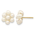 14k 3-4mm White Egg Freshwater Cultured Pearl Flower Earrings