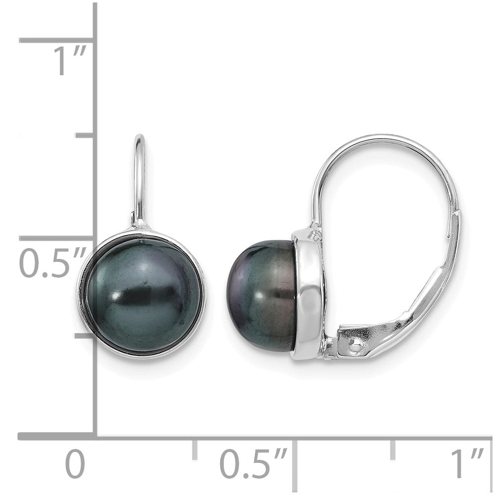14K White Gold 6-7mm Black Button FW Cultured Pearl Leverback Earrings
