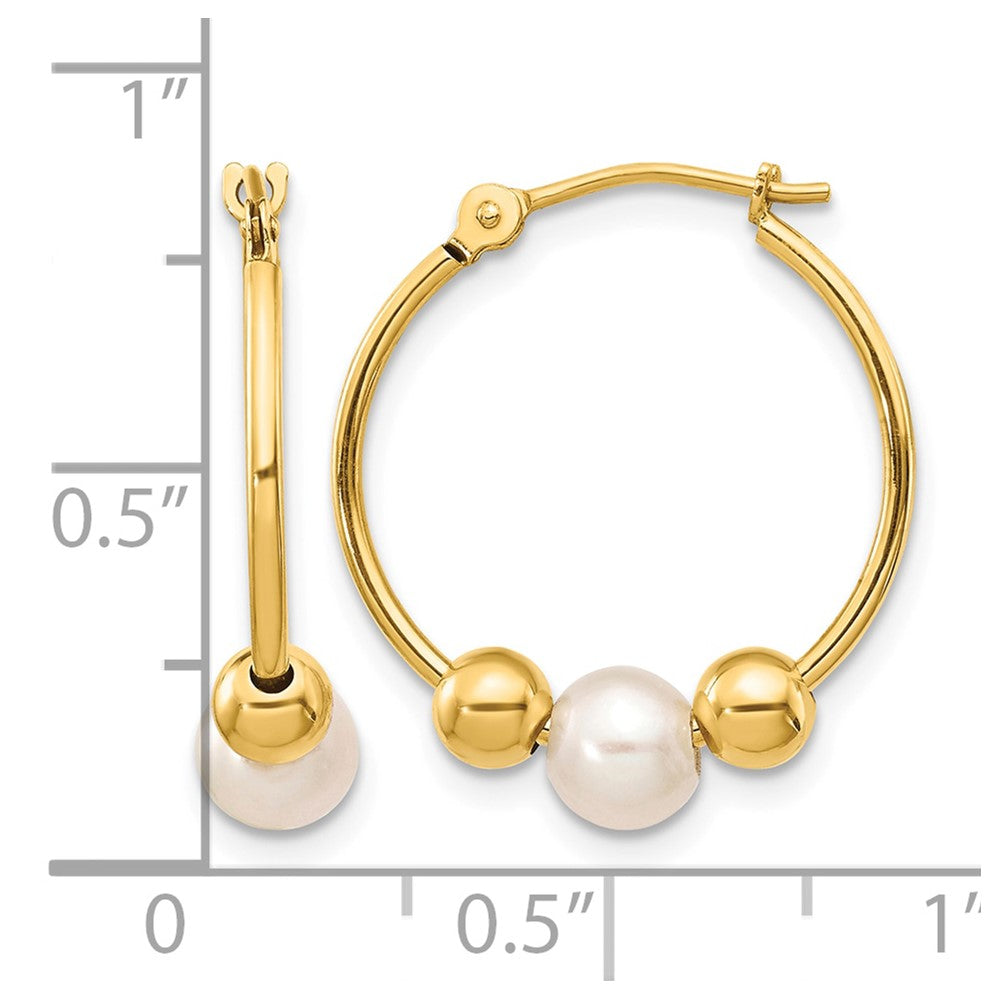 14K 5-6mm White Semi-round Freshwater Cultured Pearl Polished Hoop Earring