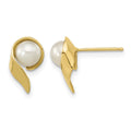 14k 5-6mm White Button Freshwater Cultured Pearl Post Earrings