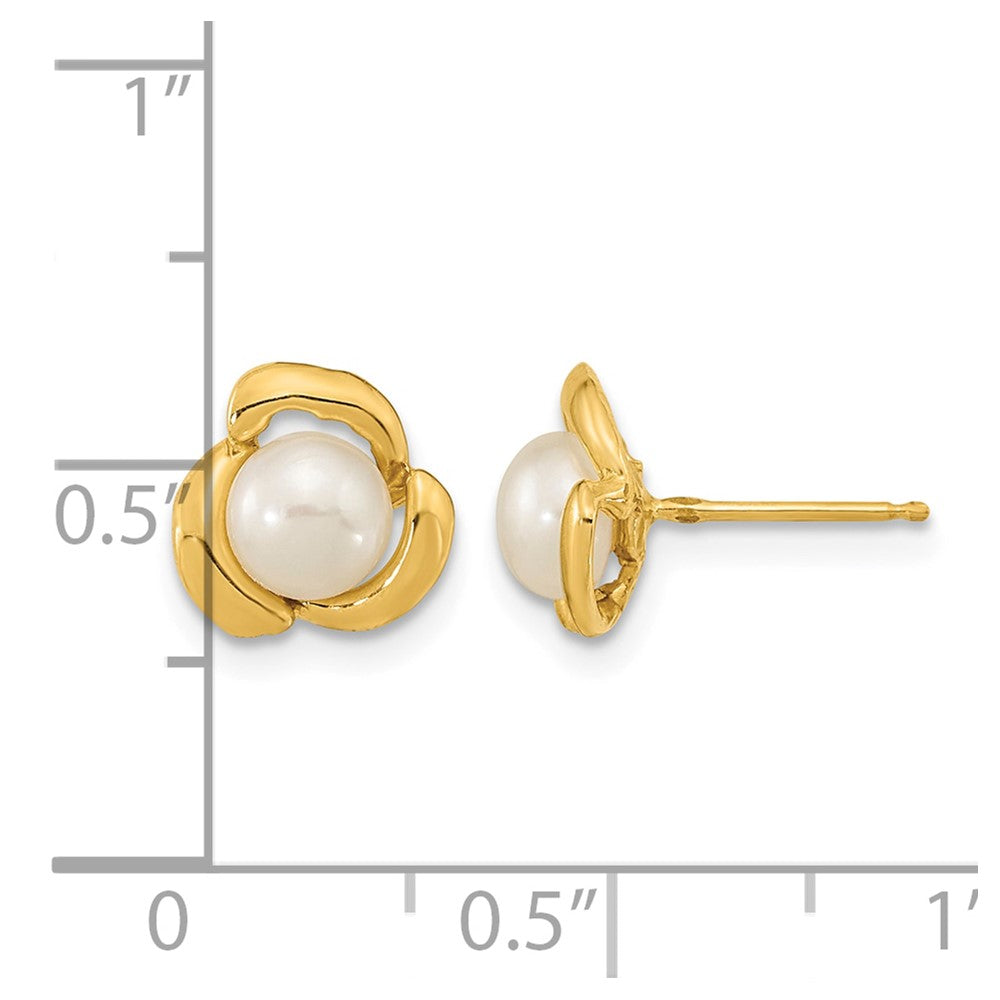 14k 5-6mm White Button Freshwater Cultured Pearl Post Earrings