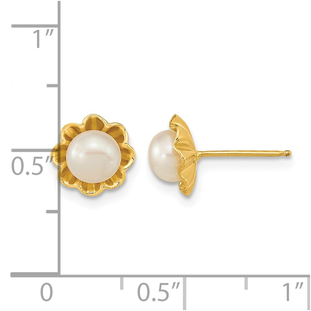 14k 5-6mm White Button Freshwater Cultured Pearl Post Earrings