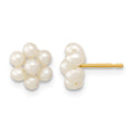 14k 2-3mm White Button Freshwater Cultured Pearl Flower Earrings