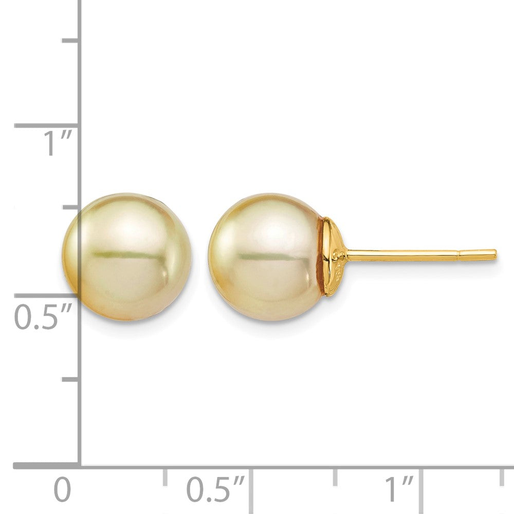 14K 9-10mm Golden Round Saltwater Cultured South Sea Pearl Post Earrings
