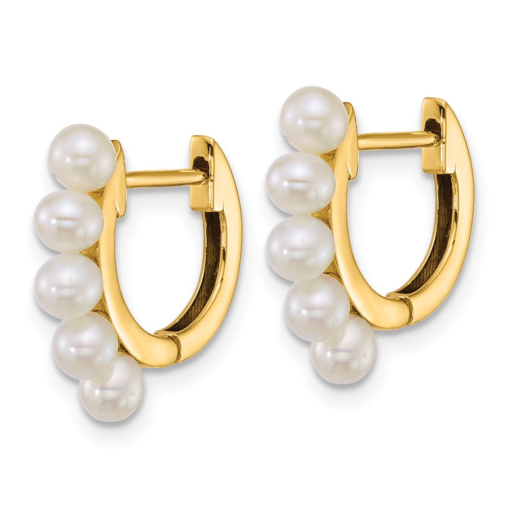 14k 3-4mm Rice South Sea Saltwater Cultured Pearl Hoop Earrings