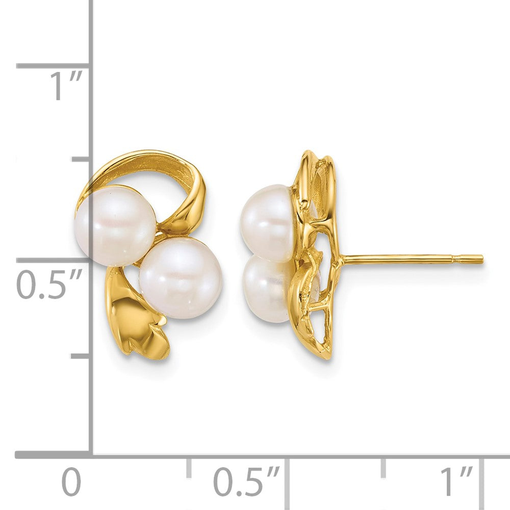 14k Polished 5-6mm Button Freshwater Cultured Pearl Post Earrings