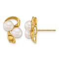 14k Polished 5-6mm Button Freshwater Cultured Pearl Post Earrings
