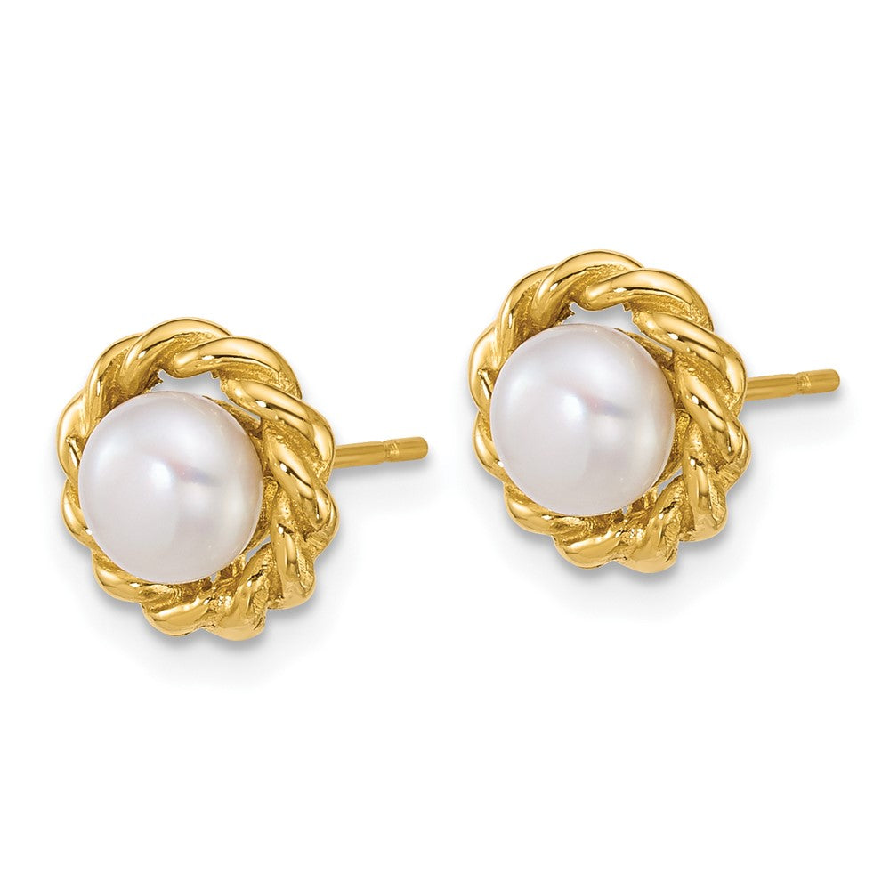 14k Polished 5-6mm Button Freshwater Cultured Pearl Post Earrings