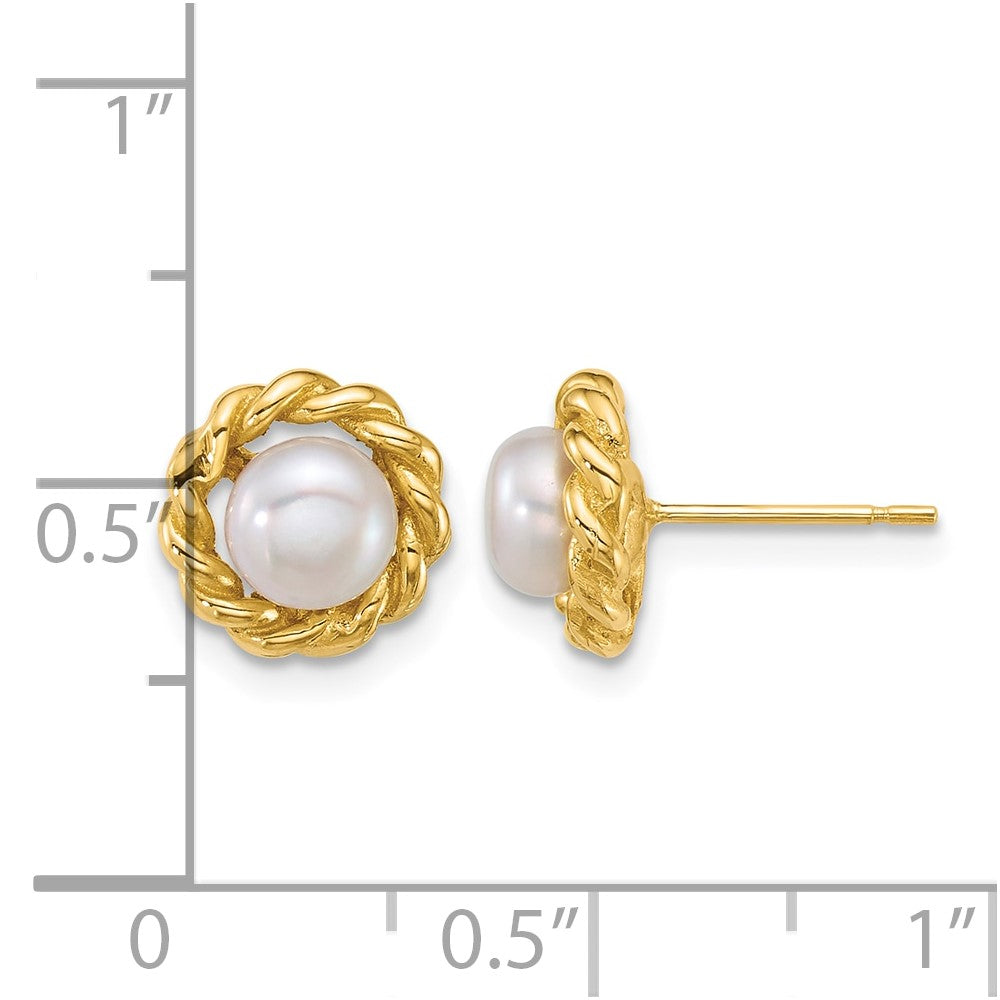 14k Polished 5-6mm Button Freshwater Cultured Pearl Post Earrings