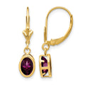 14k 7x5mm Oval Rhodolite Garnet Leverback Earrings