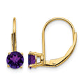 14k 5mm Amethyst Leverback Earrings