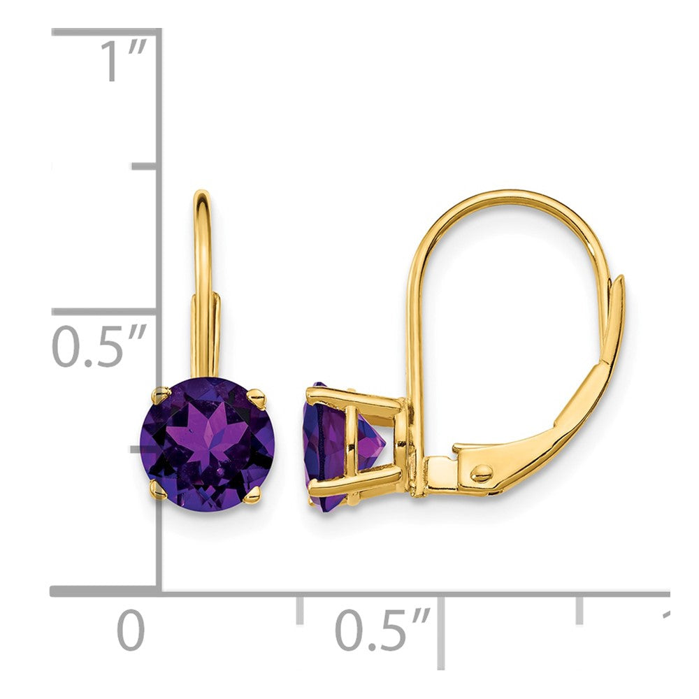 14k 6mm Amethyst Leverback Earrings