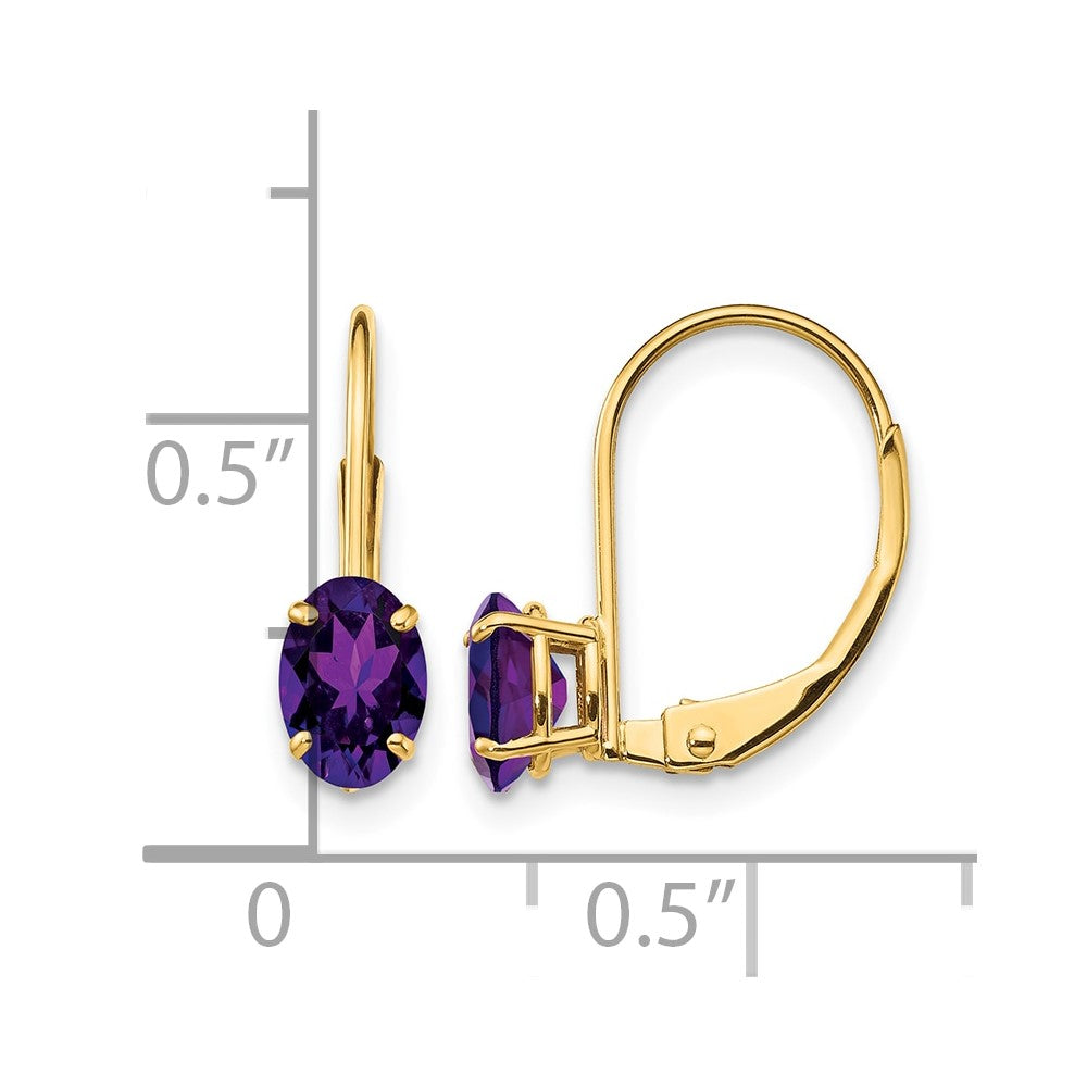 14k 6x4mm Oval Amethyst Leverback Earrings