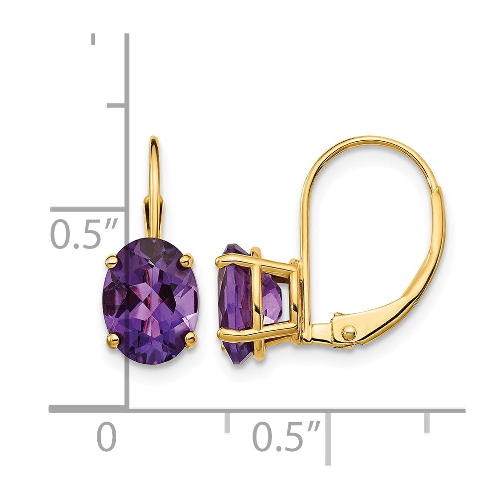 14k 8x6mm Oval Amethyst Leverback Earrings