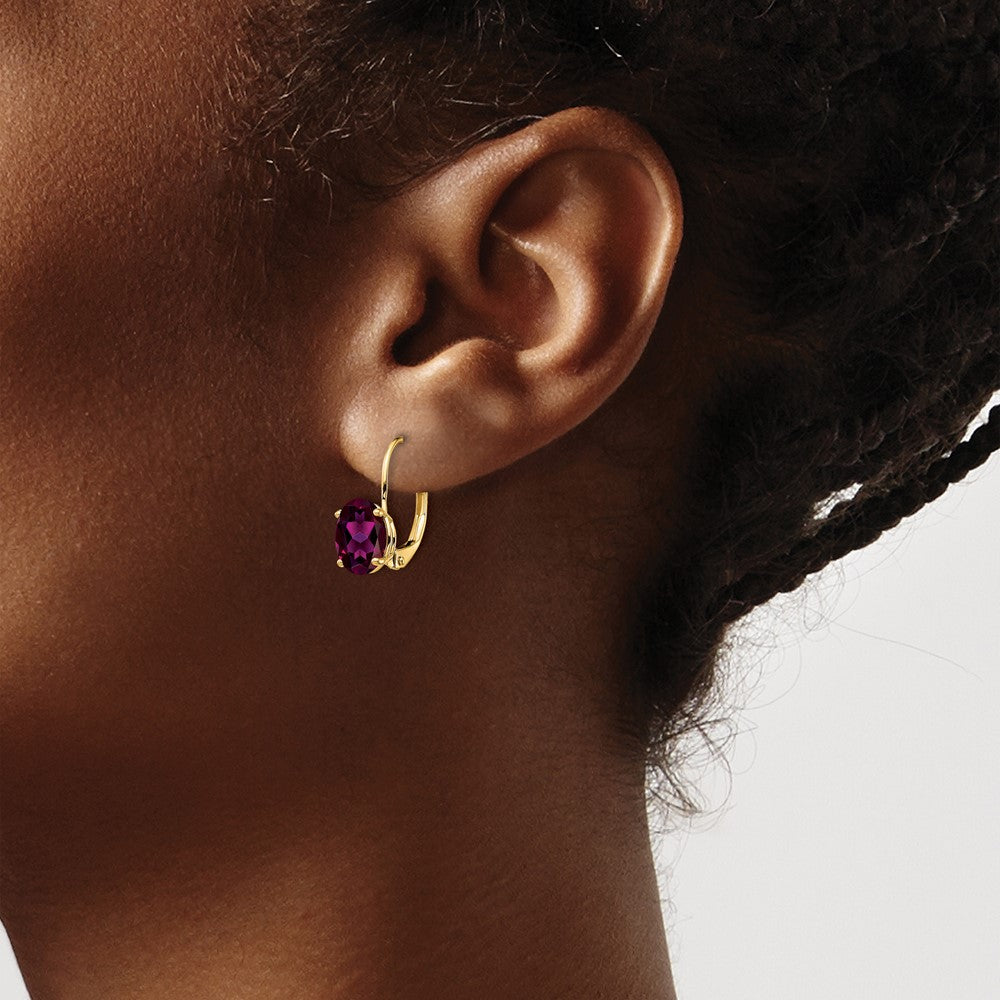 14k 8x6mm Oval Rhodolite Garnet Leverback Earrings