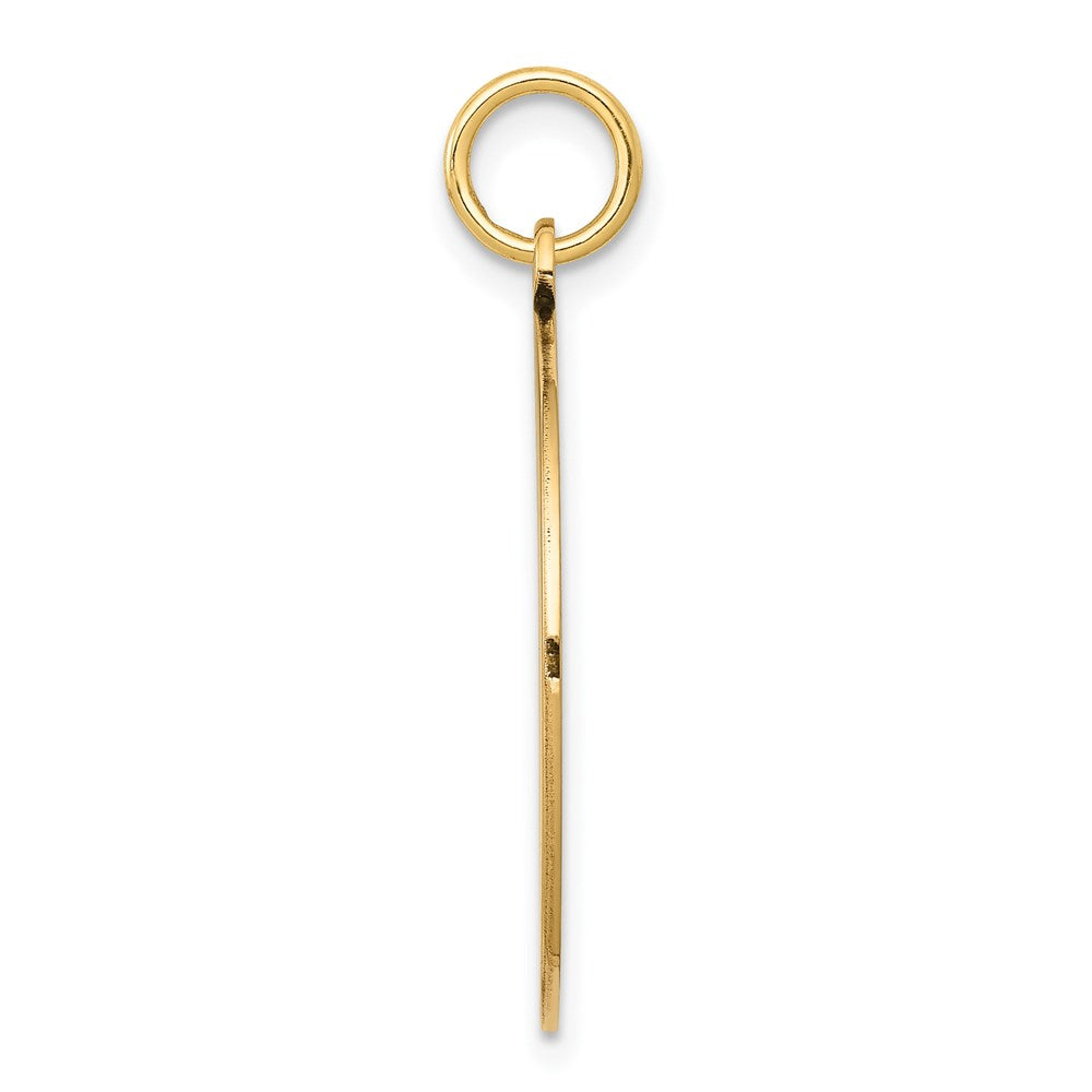14k w/Enamel .027 Gauge Circular Engravable Disc Charm