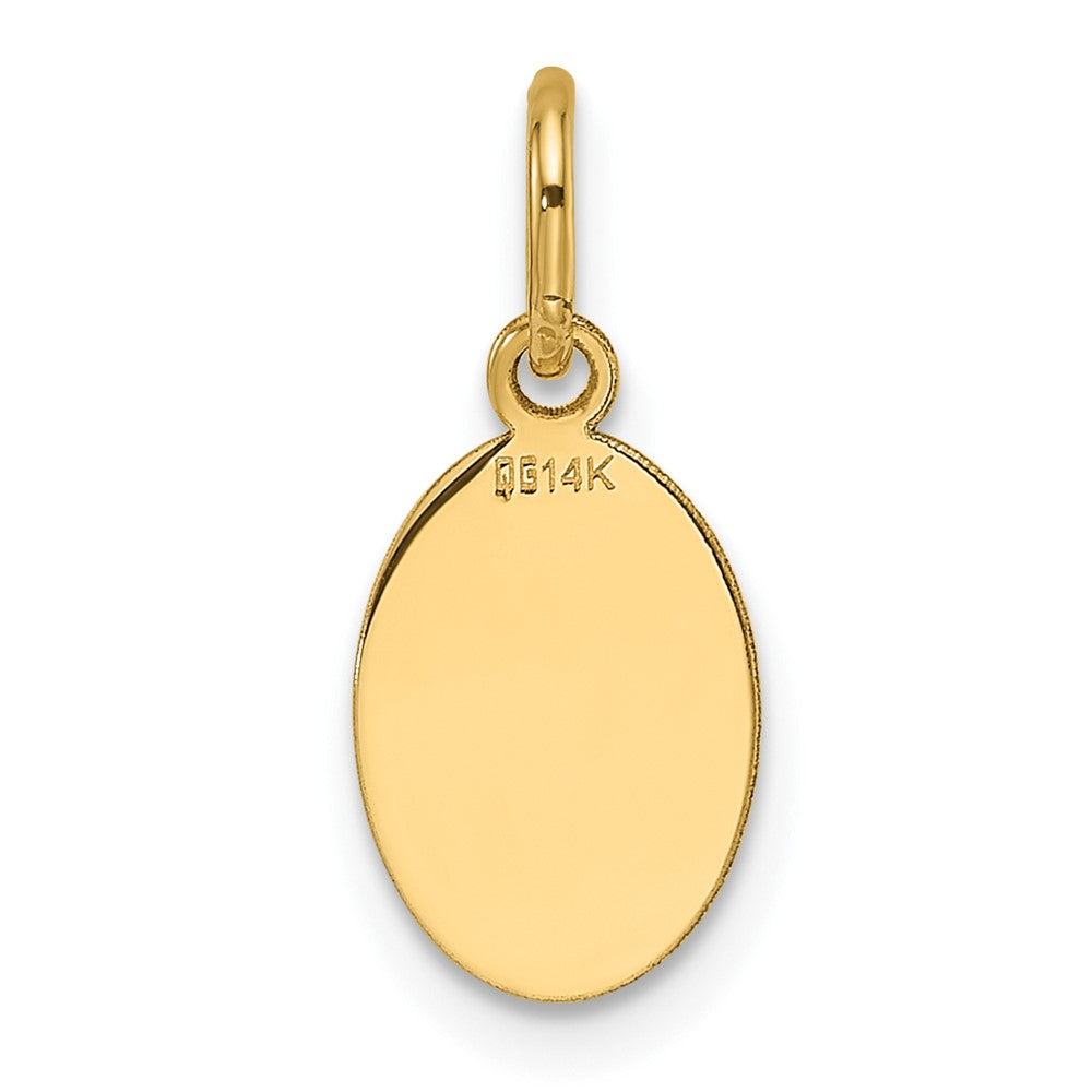 14k Plain .013 Gauge Engravable Oval Disc Charm