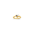 14k Family Jewelry Ring