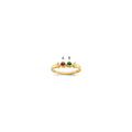 14k Family Jewelry Ring