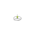 Sterling Silver Rhodium-plated Family Jewelry Mounting