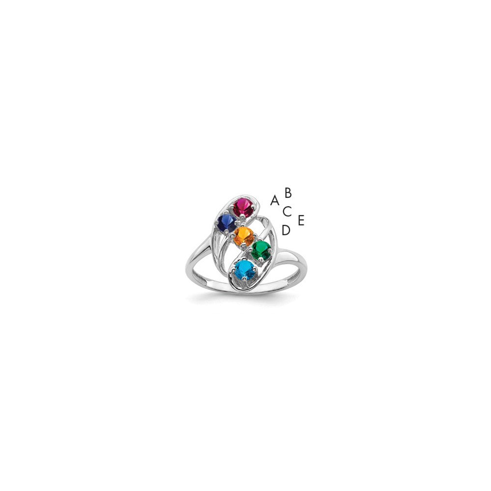 14k White Gold Family Jewelry Ring