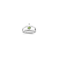 14k White Gold Synthetic Family Jewelry Ring