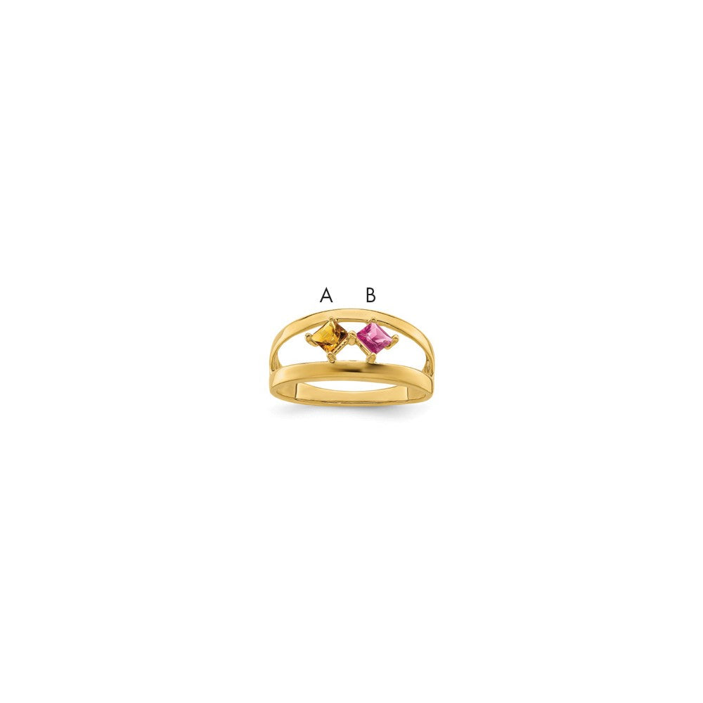 14k Family Jewelry Ring Mounting